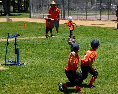 DSC_9852 (Large).JPG